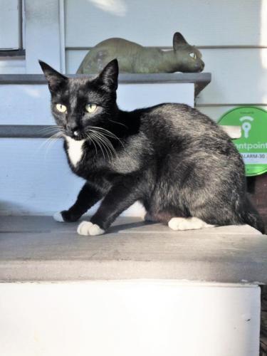 Posing on steps