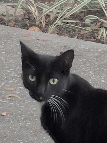 Posing on sidewalk